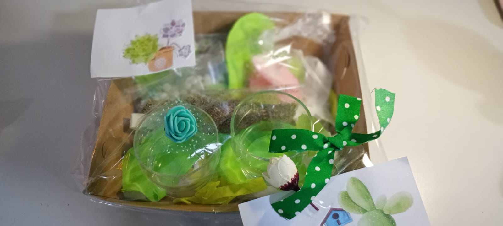 kit diy magic water "conexión natural" – verde hierbas kit diy magic water "conexión natural" – verde hierbas